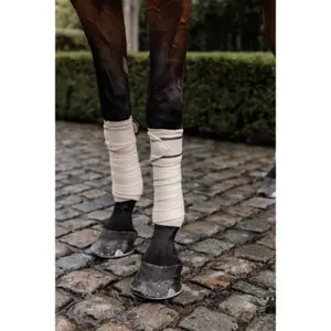 Polo wraps for horse Kentucky image-2