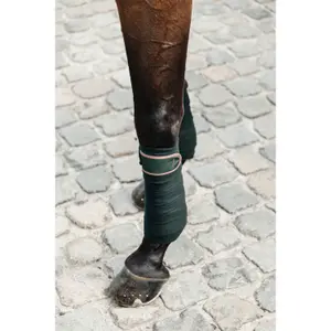 Vendas polo equitación polares Kentucky image-2