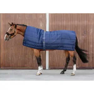 Κάλυμμα στάβλου για άλογο Kentucky Duvet 300 g image-1