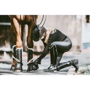 Offene Vorderbeingamaschen aus Leder Kentucky Turnout image-1