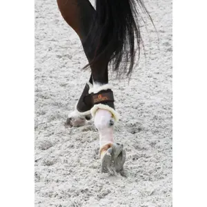 Guêtres pour cheval ouvertes cuir postérieurs Kentucky Tunout image-1