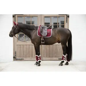 Closed velvet horse gaiters Kentucky Contrast image-2