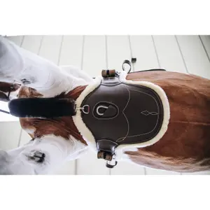 Reitlatzgurt kurz Schaf Kentucky image-2