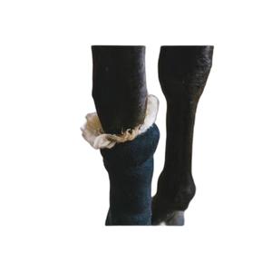 42427-therapeutische-wol-voor-paarden-kentucky-creme-150g