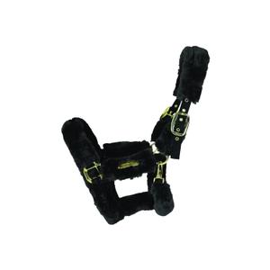 42502-01-cavezza-per-pecore-kentucky-nero