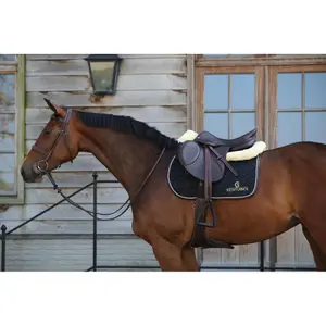 Cso-måtter Kentucky image-2