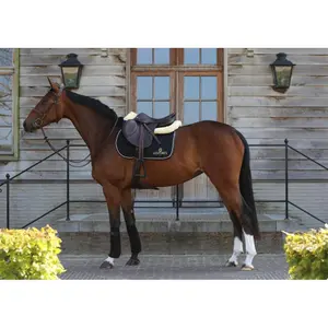 Cso-måtter Kentucky image-3