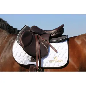 Cso mat Kentucky image-3