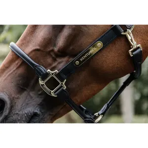 Anatomical leather halter Kentucky image-2