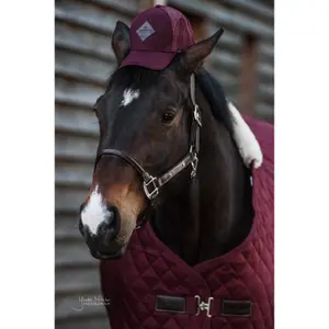 Anatomical leather halter Kentucky image-1