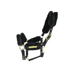 Licol pour cheval nylon mouton Kentucky image-0