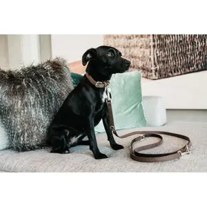 Laisse pour chien Kentucky Velvet image-3