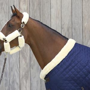 Præsentationssnor til hest i læder Kentucky image-1