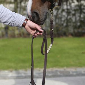 Præsentationssnor til hest i læder Kentucky image-2