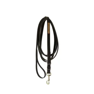 Presentation Horse Lead Rope Kentucky