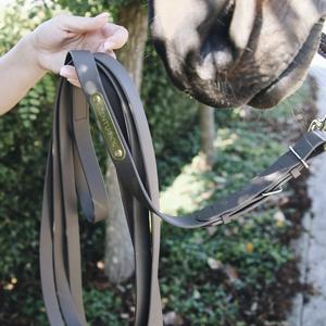 Presentation Horse Lead Rope Kentucky image-1