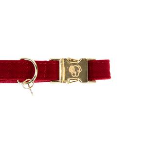 Collier pour chien Kentucky Corduroy image-1