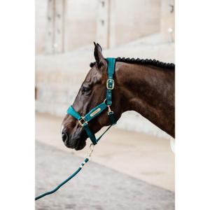 Lead Rope Kentucky Basic image-1