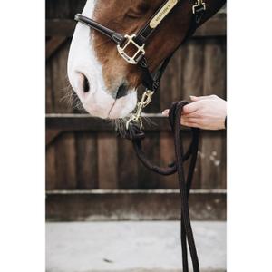 product/k/e/kentucky_42536-05-280_9.jpg