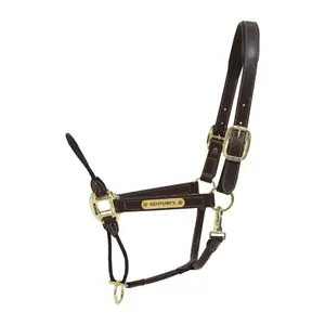 Leather halter for horses Kentucky reins