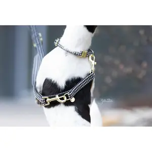 Houndstooth dog leash Kentucky image-1