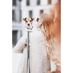 Houndstooth dog leash Kentucky image-2