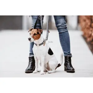 Houndstooth dog leash Kentucky image-3