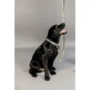 Houndstooth dog leash Kentucky image-1