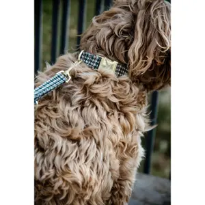 Houndstooth dog leash Kentucky image-3