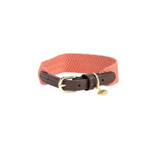 42546-18-collier-pour-chien-kentucky-jacquard-terracotta