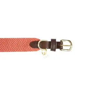 Collier pour chien Kentucky Jacquard image-1