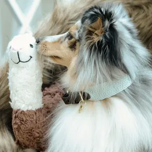 Collier pour chien Kentucky Jacquard image-2