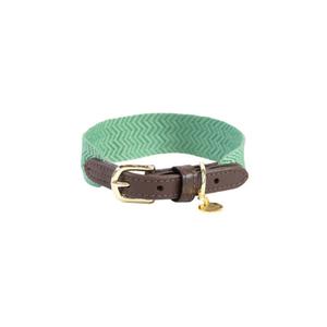 42546-74-collier-pour-chien-kentucky-jacquard-vert