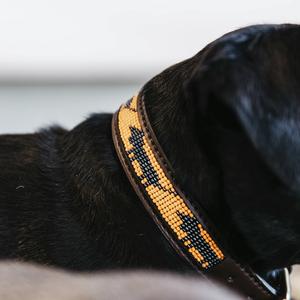 Handmade beaded dog collar Kentucky image-2