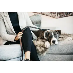 Hundeleine aus handgefertigten Perlen Kentucky image-1