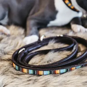 Handmade beaded dog leash Kentucky 250cm image-2