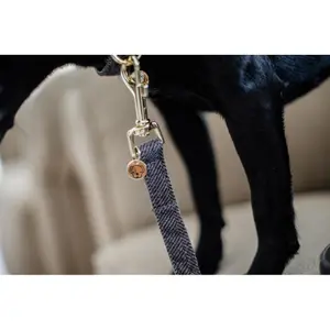 Lange hondenriem Kentucky Wool image-2