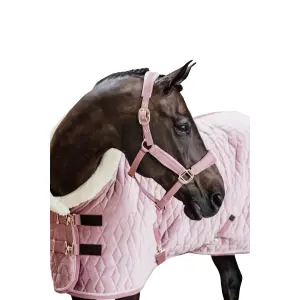 Cabestro para caballos Kentucky Velvet image-1