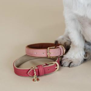 Collier pour chien en cuir vegan Kentucky image-1