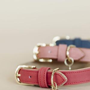 Collier pour chien en cuir vegan Kentucky image-1