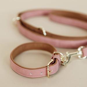 Collier pour chien en cuir vegan Kentucky image-1