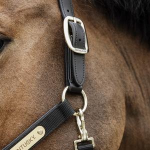 Anatomical horse halter nylon Kentucky image-2