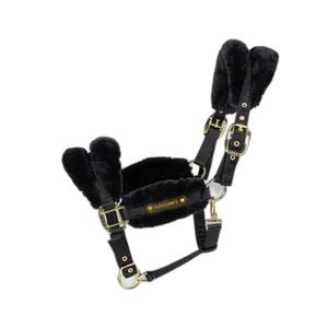 42565-01-testiera-per-cavallo-kentucky-nero