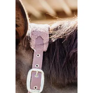 Licol pour cheval polaire Kentucky Teddy image-3