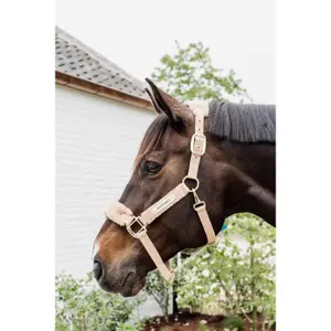 Licol pour cheval polaire Kentucky Teddy image-1