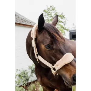 Licol pour cheval polaire Kentucky Teddy image-2