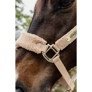 Licol pour cheval polaire Kentucky Teddy image-3