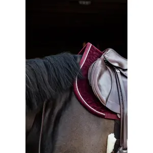 Saddle pad for horses Kentucky image-4