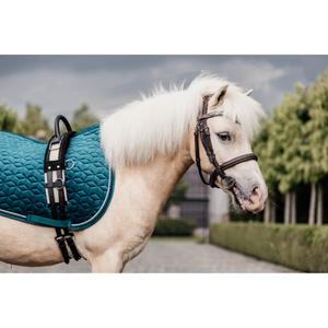 Saddle pad for horses Kentucky image-6