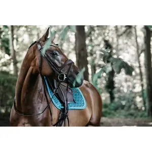 Saddle pad for horses Kentucky image-3